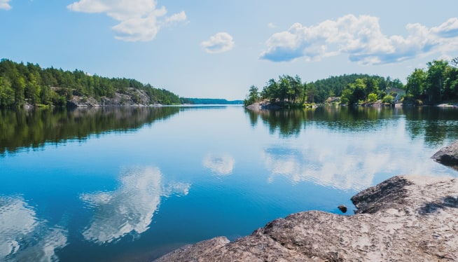 Healthy and Sustainable